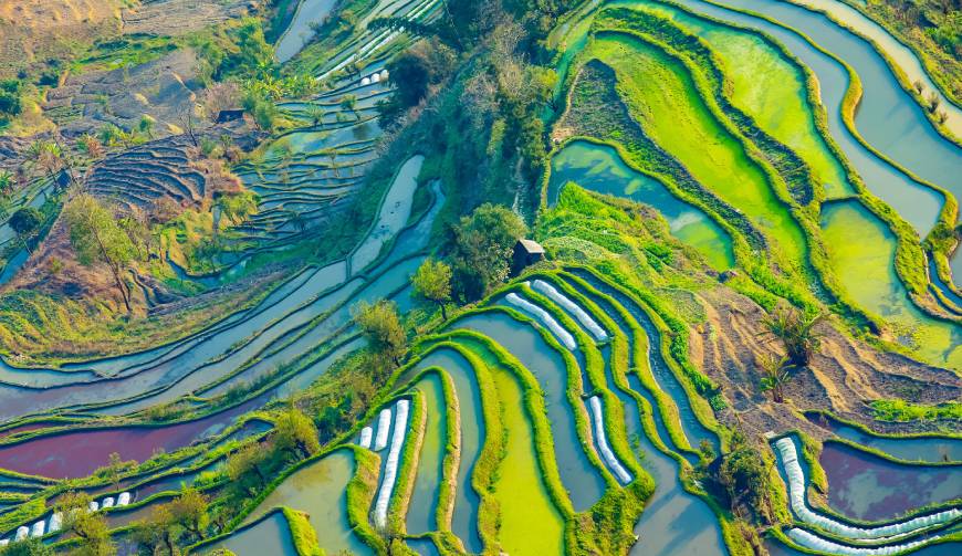 宝妈必备神器：枝江市产品视频拍摄轻松育儿好帮手