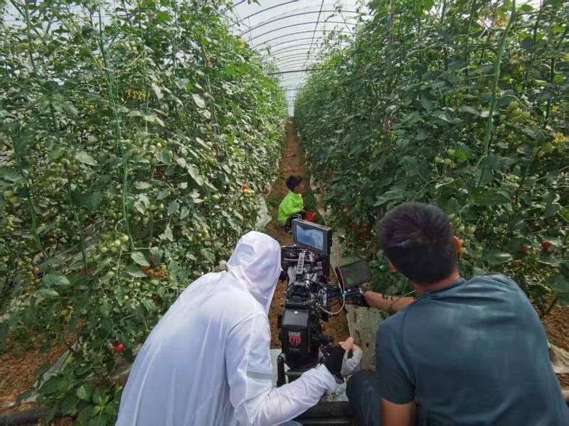 枝江市产品宣传视频拍摄公司进阶指南，助力品牌抢占传播高地